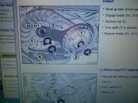 1.webp