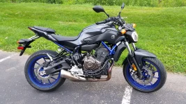 fz 001.webp