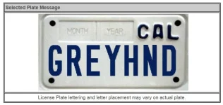 Greyhound.webp