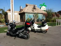 uploadfromtaptalk1416961400828.webp