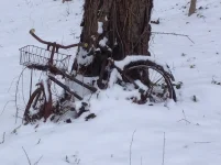 image.webp