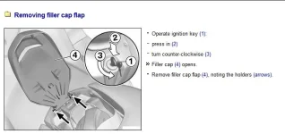 1-filler cap flap.webp
