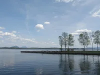 P5210810.webp