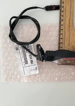 IMG_4738.jpeg IMG_4738.jpeg