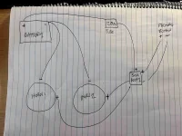 unnamed 47.webp