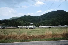 19-maggie-rural.webp