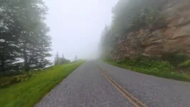 1-foggy-brp.webp 1-foggy-brp.webp
