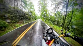 12-Rain-Dragon-Cockpit.webp