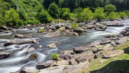 13-Tapoco-Lodge-View.webp