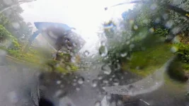 15-Hotel-Rain.webp