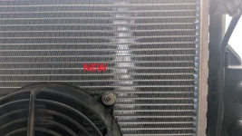 Rad New Low Res.webp