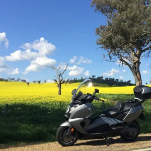 Spring sprung in OZ 1